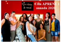 image Aprene12020.png (0.2MB)
Lien vers: https://aprene.org/oc/jornal-de-cola-aprene1-2018-2019-2/